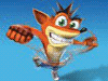 Crash Bandicoot Game